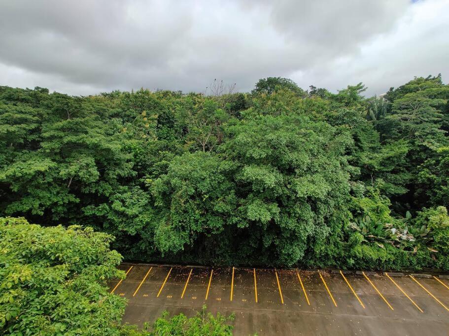 Apartment En Jaco